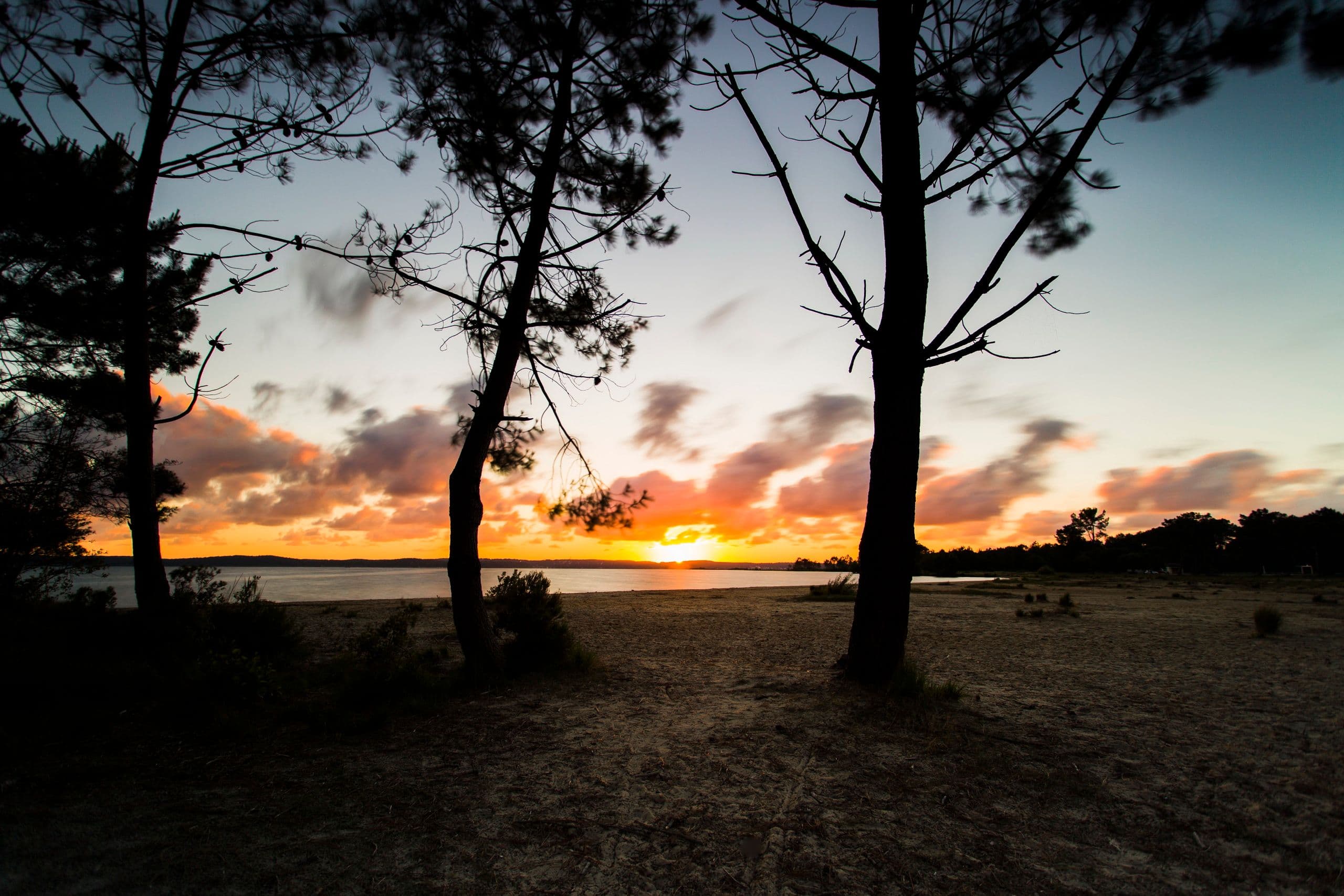 Silhouettes face au couchant