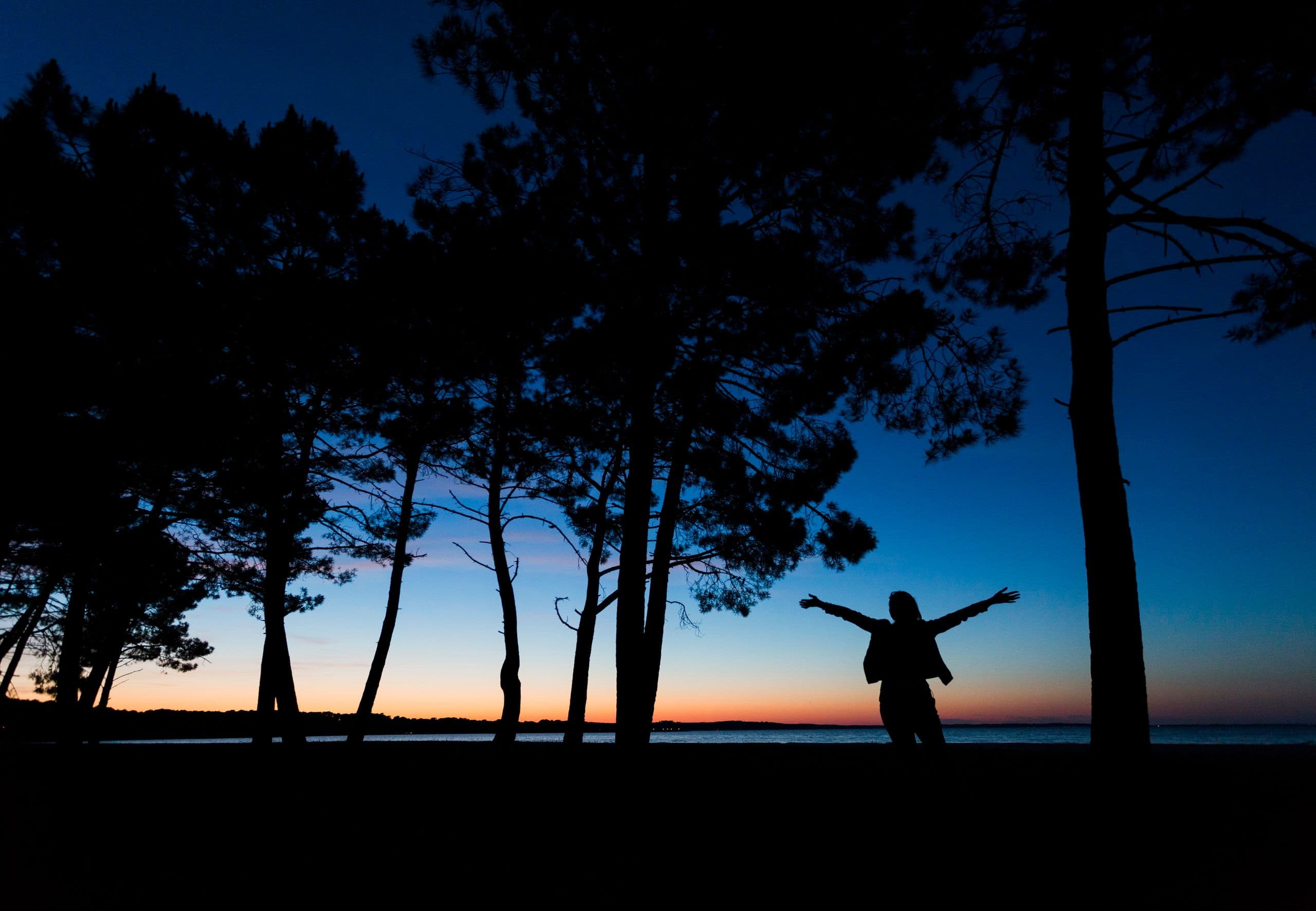 Silhouette face au crépuscule