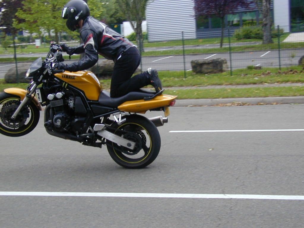 Photo